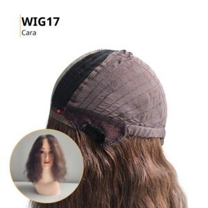 Silk Top human hair wig
