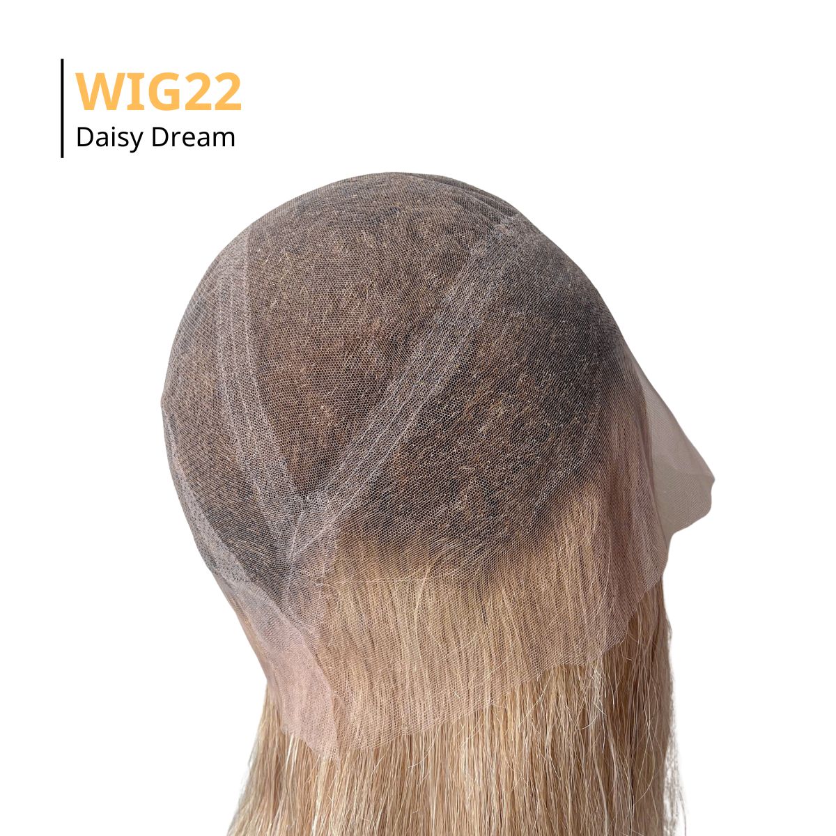 100% Human high quality hand tied Swisslace wig Raregen Astrid | 100% Hand-tied Human Hair Wig-Icy Platinum  main image 2